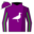 Runner silk