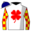 Runner silk